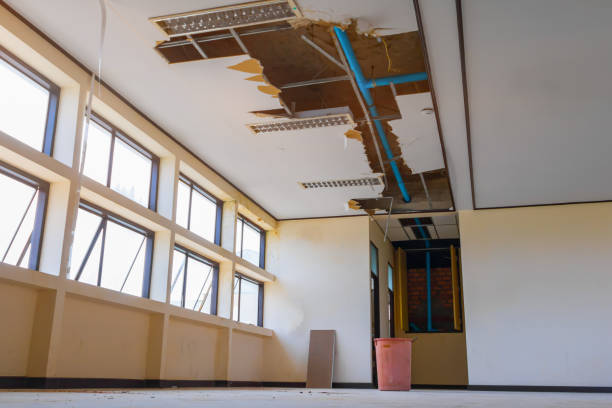 Best Water damage restoration process  in Saunders Lake, OR