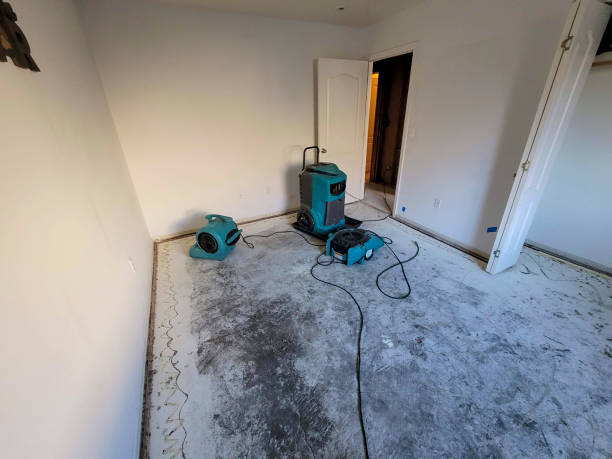 Best 24/7 water damage repair  in Saunders Lake, OR