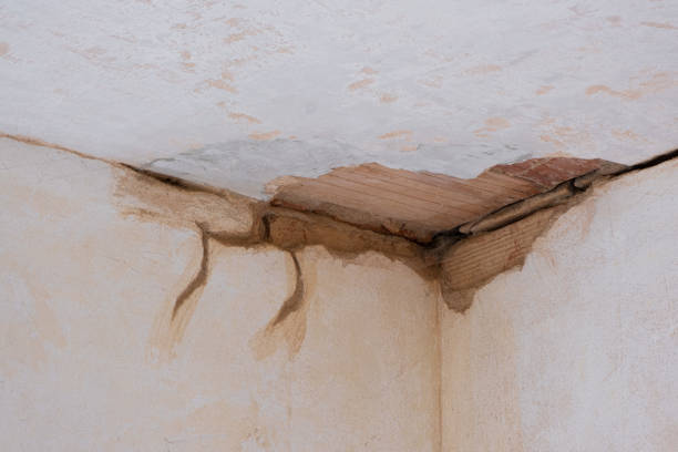 Best 24-hour water damage restoration  in Saunders Lake, OR