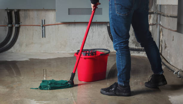 Best Mold removal after water damage  in Saunders Lake, OR