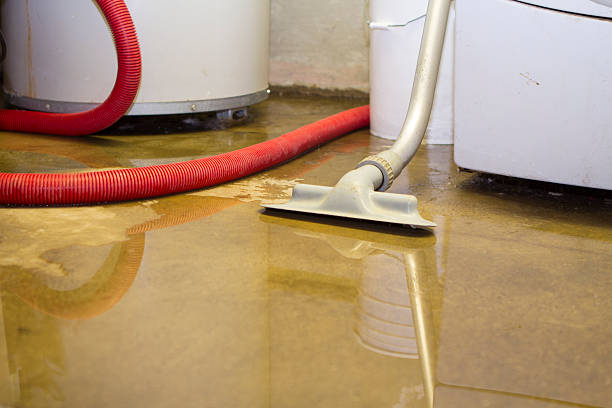 Best Water damage contractors near me  in Saunders Lake, OR