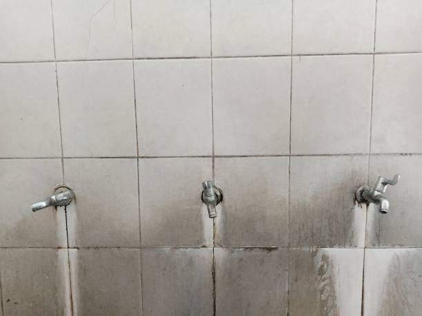 Best Local water damage restoration  in Saunders Lake, OR