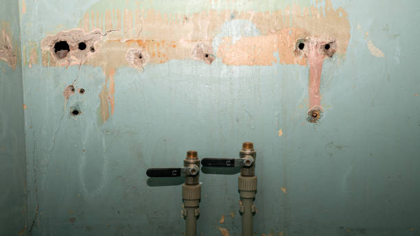 Best Local water damage restoration  in Saunders Lake, OR