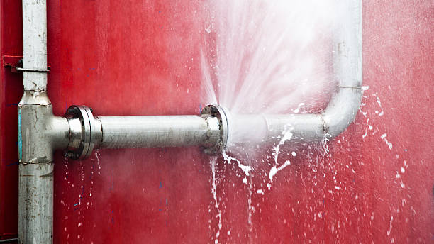 Best Water damage restoration mold remediation  in Saunders Lake, OR