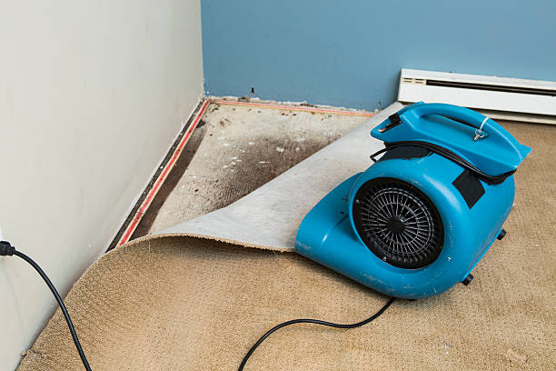 Best Water damage restoration near me  in Saunders Lake, OR